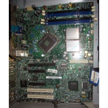 Материнская плата Intel Server Board S3200SH s.775 (Некрасовка)