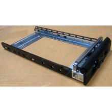Салазки GMH100100AG0 для HDD для Infortrend EonStor (Некрасовка)