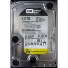 НЕРАБОЧИЙ жесткий диск 1Tb WD RE3 WD1002FBYS 32Mb cache SATA (Некрасовка)