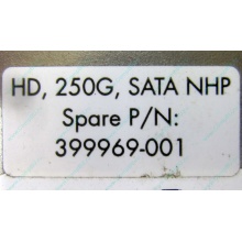 HP 250G 7.2k 432337-001/ 399699-001 / 397377-004 SATA HDD (Некрасовка)