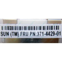 Серверная память SUN (FRU PN 371-4429-01) 4096Mb (4Gb) DDR3 ECC в Некрасовке, память для сервера SUN FRU P/N 371-4429-01 (Некрасовка)
