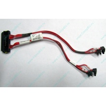 SATA-кабель для корзины HDD HP 451782-001 459190-001 для HP ML310 G5 (Некрасовка)