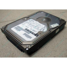 Жесткий диск 18.2Gb IBM Ultrastar DDYS-T18350 Ultra3 SCSI (Некрасовка)