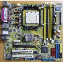 Материнская плата Asus M2NPV-VM socket AM2 (без задней планки-заглушки) - Некрасовка