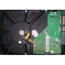 Б/У жёсткий диск 500Gb Western Digital WD5000AVVS (WD AV-GP 500 GB) 5400 rpm SATA (Некрасовка)
