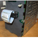 HP 365664-001 кабель SCSI для корзины 373108-001 / 359719-001 HP ML370G4 (Некрасовка)