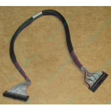 FDD-кабель HP 271946-006 для ML370 (Некрасовка)