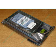 Жёсткий диск 146.8Gb HP 365695-008 404708-001 BD14689BB9 256716-B22 MAW3147NC 10000 rpm Ultra320 Wide SCSI купить в Некрасовке, цена (Некрасовка).