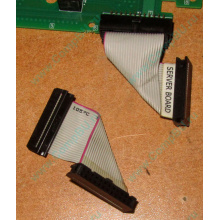 6017B0045701 Шлейф 24 pin для Intel C74974-401 T0043401-B01 корпуса SR2400 (Некрасовка)