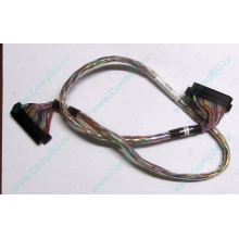 6017B0045301 в Некрасовке, 68pin SCSI кабель 26.5" / 57cm для корзины HDD Intel SR2400 (Некрасовка)