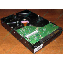 Жесткий диск 500Gb WD WD5000AAKX HP 634605-003 613208-001 7.2k SATA (Некрасовка)