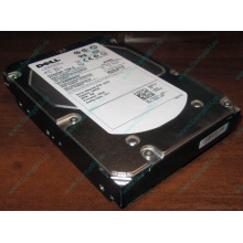 Жесткий диск 300Gb 15k Dell 9CH066-050 6G SAS (Seagate Cheetach ST3300656SS 15K.6) - Некрасовка